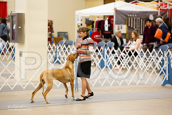 _JJ_8732-FWKCMar2015-HR3