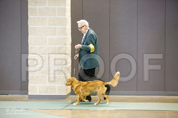 _LH_3085-BeltonJan2015-HR3