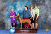 Vizsla #31 Wed WDM Judge Ida Kavafian