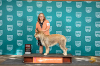 Berger Picard #422 Sat BOB G2 Judge Malinda Julien
