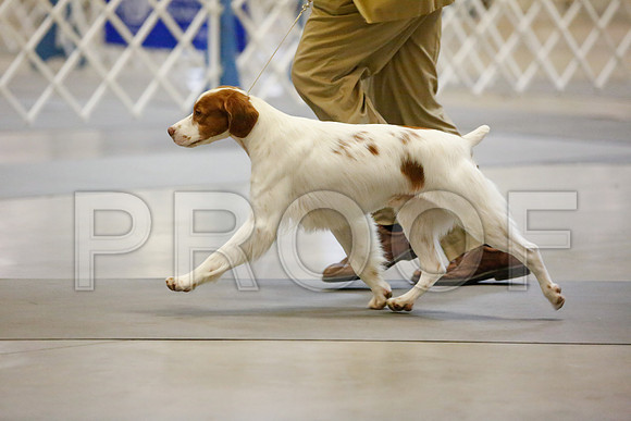 _JJ_6925-AmarilloSept2014-HR3
