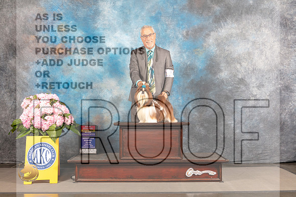 Shih Tzu #12 THUR WB BOS NCH Judge Joe Walton_MJ_3903_Houston_2022_HR3