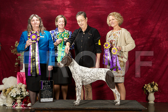_ST_3027-BeltonJan2015IABCA-HR3