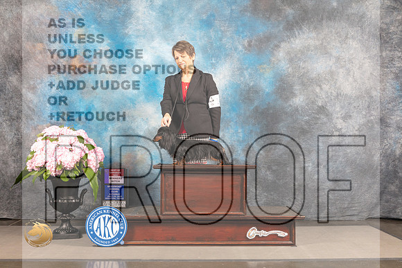 Dachshund Long Coated #14 SAT WB BOS Judge Timothy Catterson_MJ_6402_Houston_2022_HR3