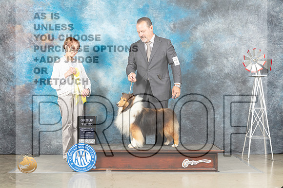 Shetland Sheepdog #7 Thur G3 Judge Sharon Derrick_MJ_3694_Amarillo_2022_HR3