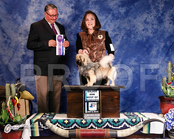 TibS-1201-GRJan14-HR