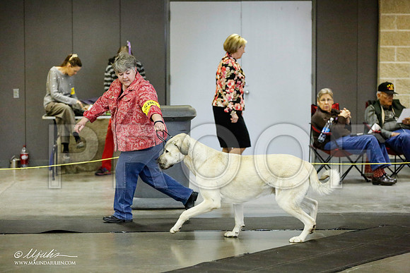 _RH_1500-BeltonJan2015IABCA-HR3