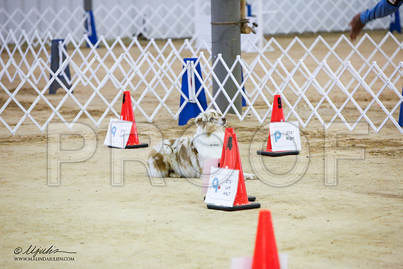 _JJ_5555-ASCACollegeStationNov2014-HR3