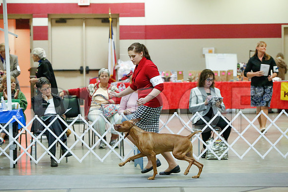 _JJ_4546-AmarilloSept2014-HR3