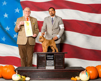 Brussels Griffons #5 Sun G3 Henderson Debbie Wendi Weber Napieraj Judge Mr Merle Taylor