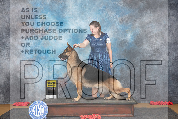 German Shepherd #5 Sun G3 Judge Beth Downey__JP_0810_Sulphur Springs_2024_HR3