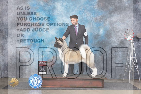 Akita #6 Fri G2 Judge Pat Trotter__JP_5404_Amarillo_2024_HR3
