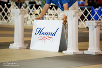 Hound Group Fri Ring