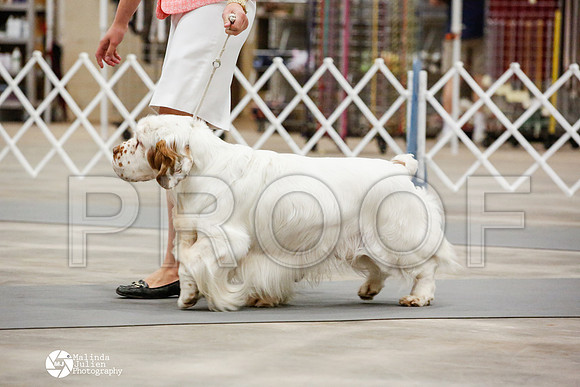 _JN_0468-AblnMay2014-web