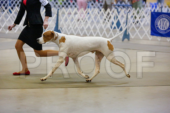 _JJ_2681-AmarilloSept2014-HR3