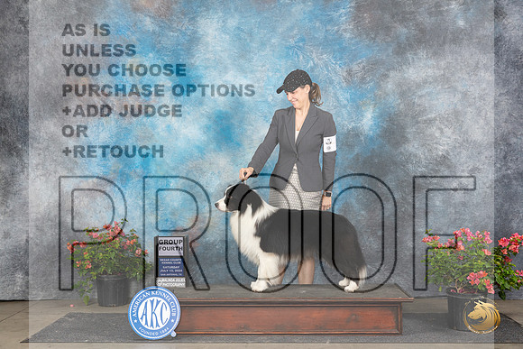 Border Collie #5 Sat G4 Polly (Mrs Robert) D Smith__JP_5571_San Antonio_2024_HR3