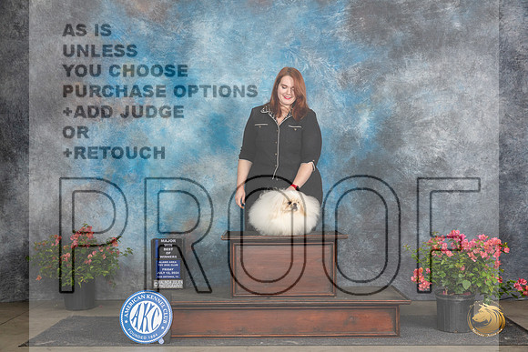 Pekingese #5 Fri WDBOWM Judge Azalea Alvarez__JP_4447_San Antonio_2024_HR3