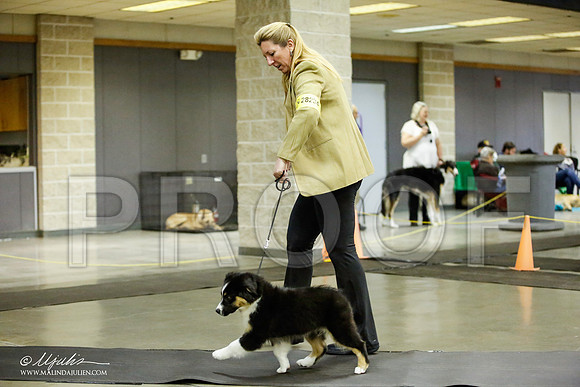 _JJ_6229-BeltonJan2015IABCA-HR3