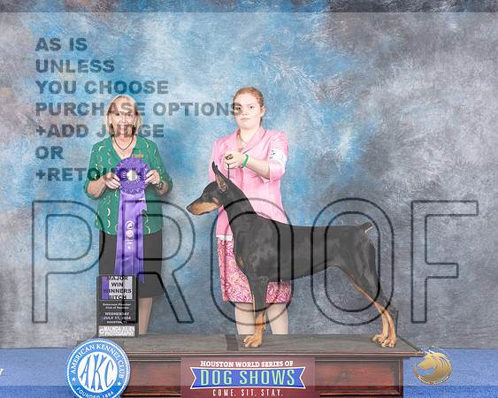 Doberman #12 WED WBM Judge Alisa Brotherhood_JP_6671e_Houston_2024-HR3