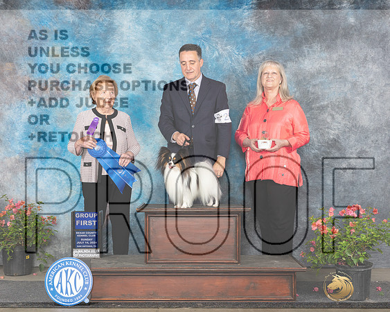 Papillon #23 Sun G1 Judge Polly Smith_JP_6425e_San Antonio_2024-HR3