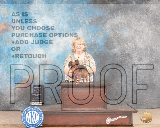 Russian Toy #8 Sat BOWWB Judge Peggy McIlwaine-MMJ_4231-Abilene2022-HR3