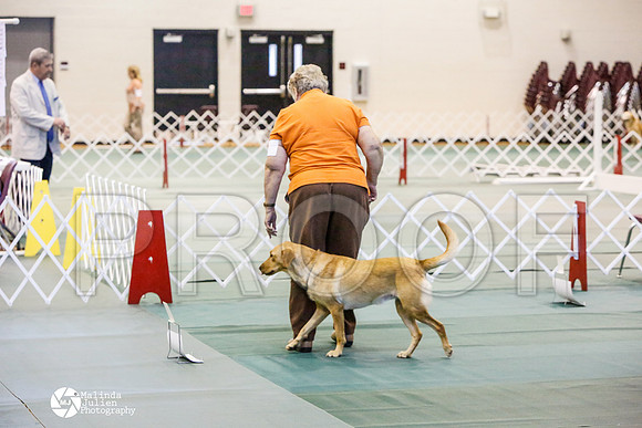 _JJ_2696-BsrCtyJun2014-HR3
