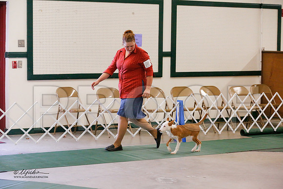 BISpup-0096-NormNov13-HR