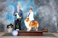 Collie Rough #6 Sat OHG2 Judge Eric Liebes