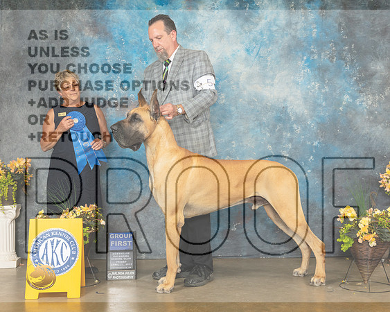 Great Dane #5 Fri G1 Judge Cathy Daugherty-MMJ_9665-NWARK2022-HR3