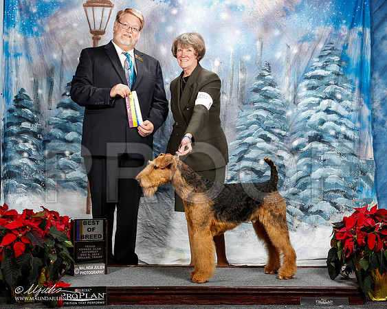 _ST_8509-2-DallasDec2014-HR3