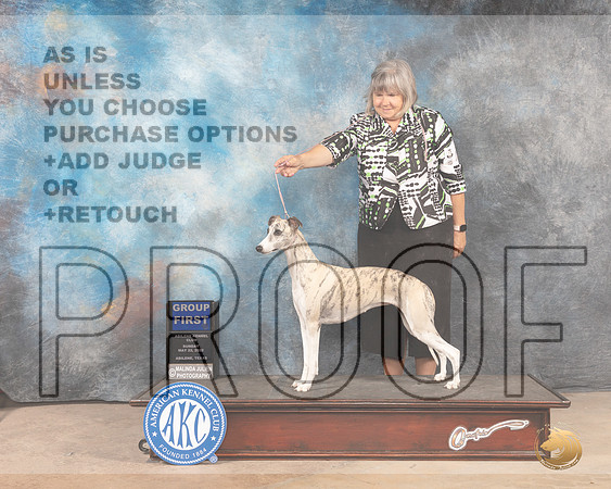 Whippet #16 Sun G1 Judge Lori Nelson-MMJ_4921-Abilene2022-HR3