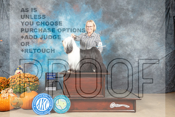 Tibetan Terrier #6 Sun G1 Judge Donnelle Richards_MJ_6882_Belton_2022_HR3