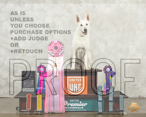 White Shepherd #364 Sat UWSC__MJ_8828_Premier_2022_HR3