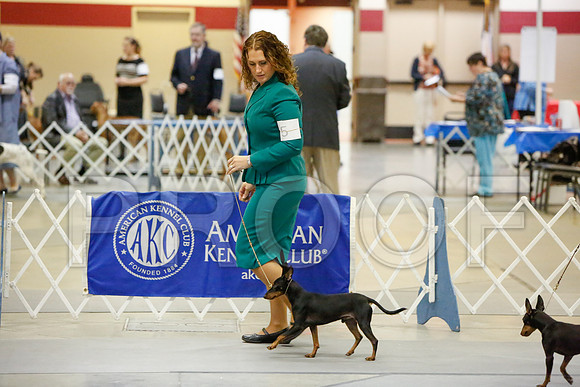 _JJ_1560-AmarilloSept2014-HR3