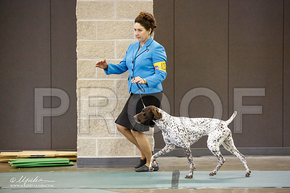 _JN_3725-BeltonJan2015-HR3