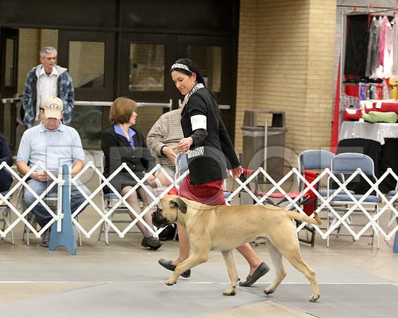 6-9PupSweeps-6510