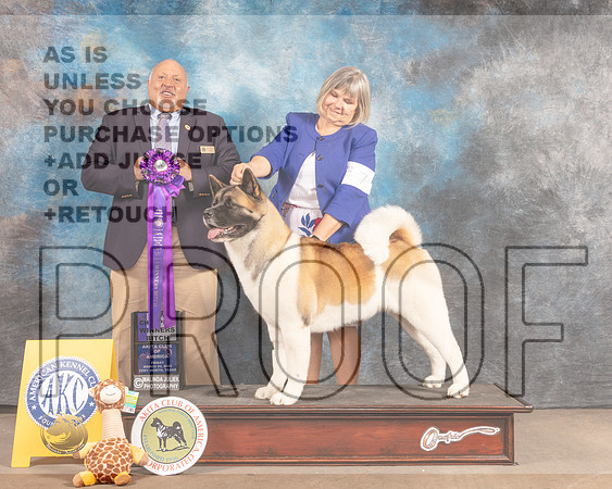 Akita #20 Fri WB Judge Hal Biermann-MMJ_7047-FW2022-HR3