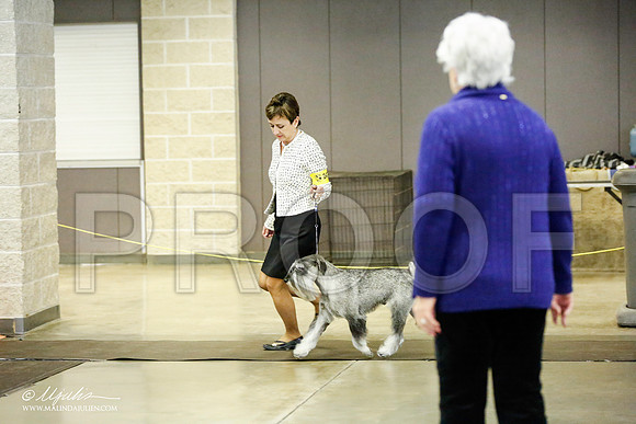 _RH_1852-BeltonJan2015IABCA-HR3