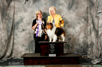 Shetland Sheepdog #662 Sat BIS Patty Runge Judge F Trammell