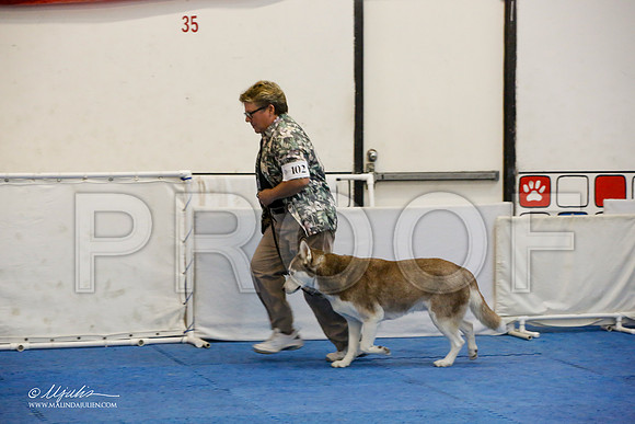 _M3_7458-AddisonHuskyMar2015-HR3