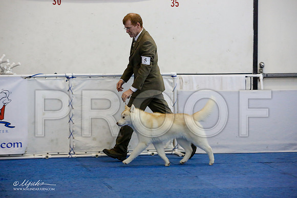 _M3_9761-AddisonHuskyMar2015-HR3