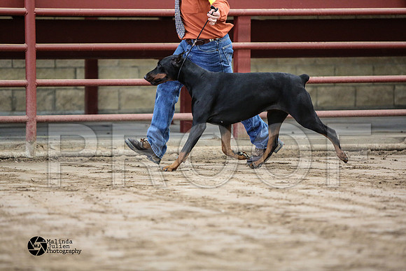 MJ2_0798-WacoFeb14-HR