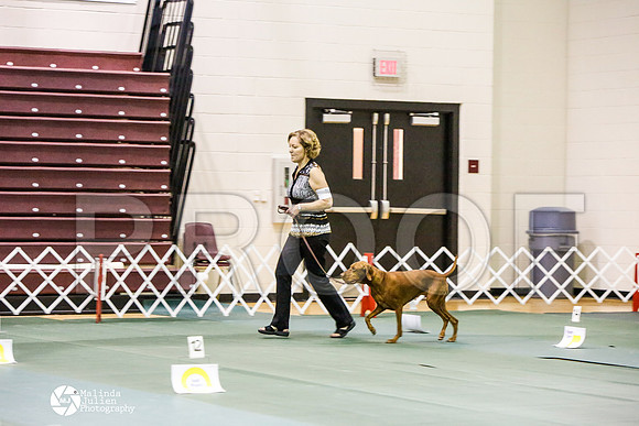 _JJ_3161-BsrCtyJun2014-HR3