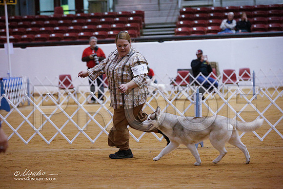 Akita-3581-GRJan14-HR