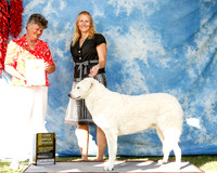 Kuvasok #5 Sat OHG3 Karen Rawers Judge Karin Ashe AMD PD