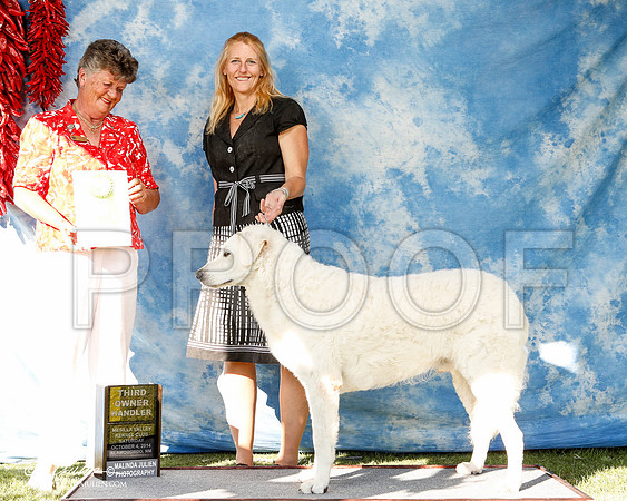 _ST_3102-2-AlamogordoOct2014-HR3
