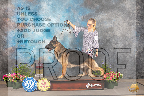 German Shepherd Dog #9 Thur G2 Judge David  Bolus_MJ_0006_SA_2022_HR3