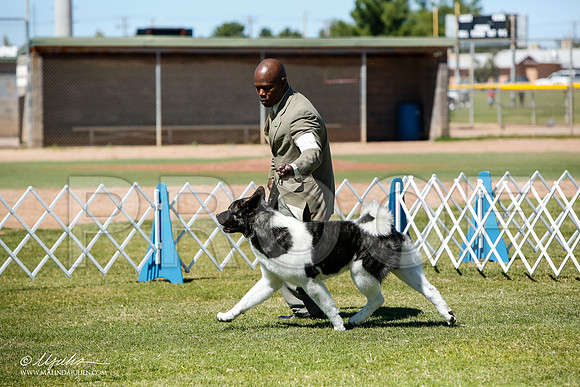 _J3L4025-AlamogordoOct2014-HR3