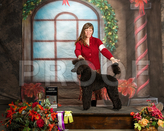 _ST_7091-NrmnNov2014-HR3