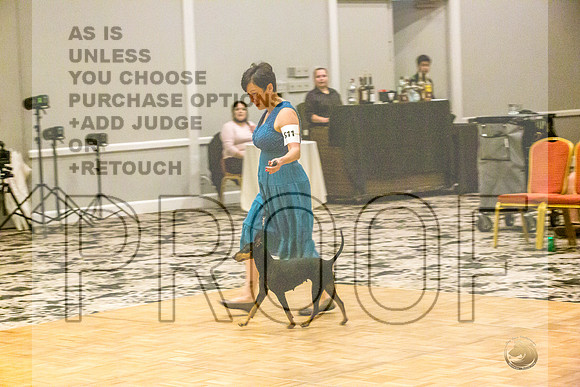 Manchester Terrier MTOY Candids-JJL_2116-Hstn2022_HR3